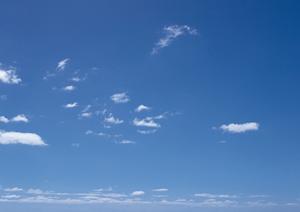 静岡県の家族葬に特化した葬儀サービス：安心と低価格を実現する最新の葬儀プラン一覧