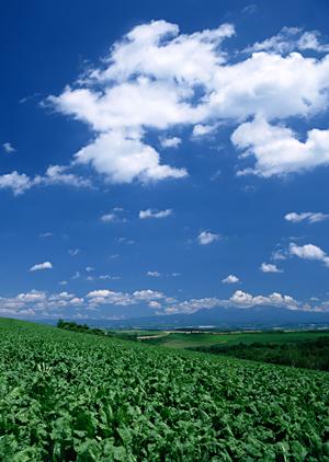 静岡市葵区の家族葬専門斎場｜家族葬のタクセル沓谷：安心と低価格を実現する葬儀サービス