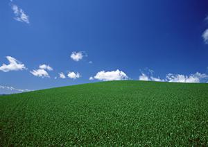 荒川区の安心と信頼の葬儀会館【ティア町屋】｜家族葬から一般葬までをサポート