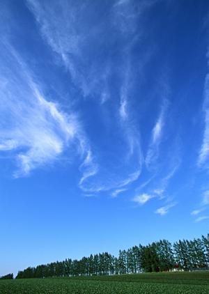 静岡県富士宮市に根ざした安心の葬儀サービス｜富士葬祭の特徴と店舗情報
