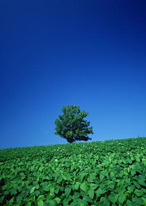 和歌山県熊野市にある墓石店の紹介です