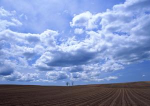静岡市駿河区に新オープン！家族葬の専門斎場【家族葬のタクセル大和】の特徴と魅力