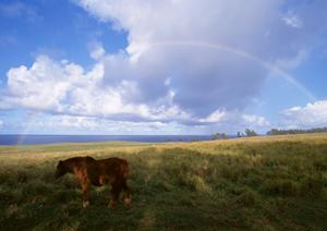 磐田市見付にある信頼の家族葬専用斎場｜富士葬祭 富士見台の特徴とサービス内容