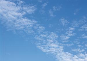 静岡市駿河区にある家族葬に最適な葬儀場【富士葬祭 中村町】の詳細情報と特徴