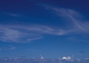 静岡市の信頼と実績を誇る富士葬祭 材木町：地域密着型の葬儀サービスとその魅力